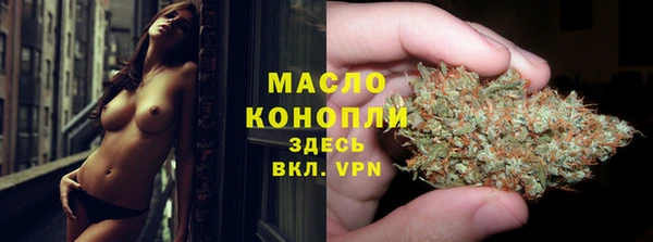 спиды Каменногорск