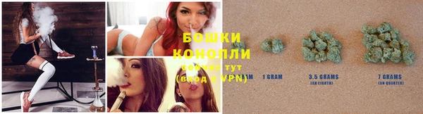 гидра Инсар