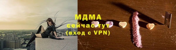 гидра Инсар