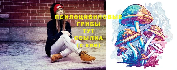 спиды Каменногорск