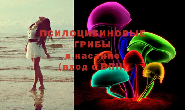 меф Инта