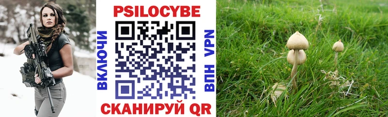 Купить  Конаково  Галлюциногенные грибы прущие грибы 